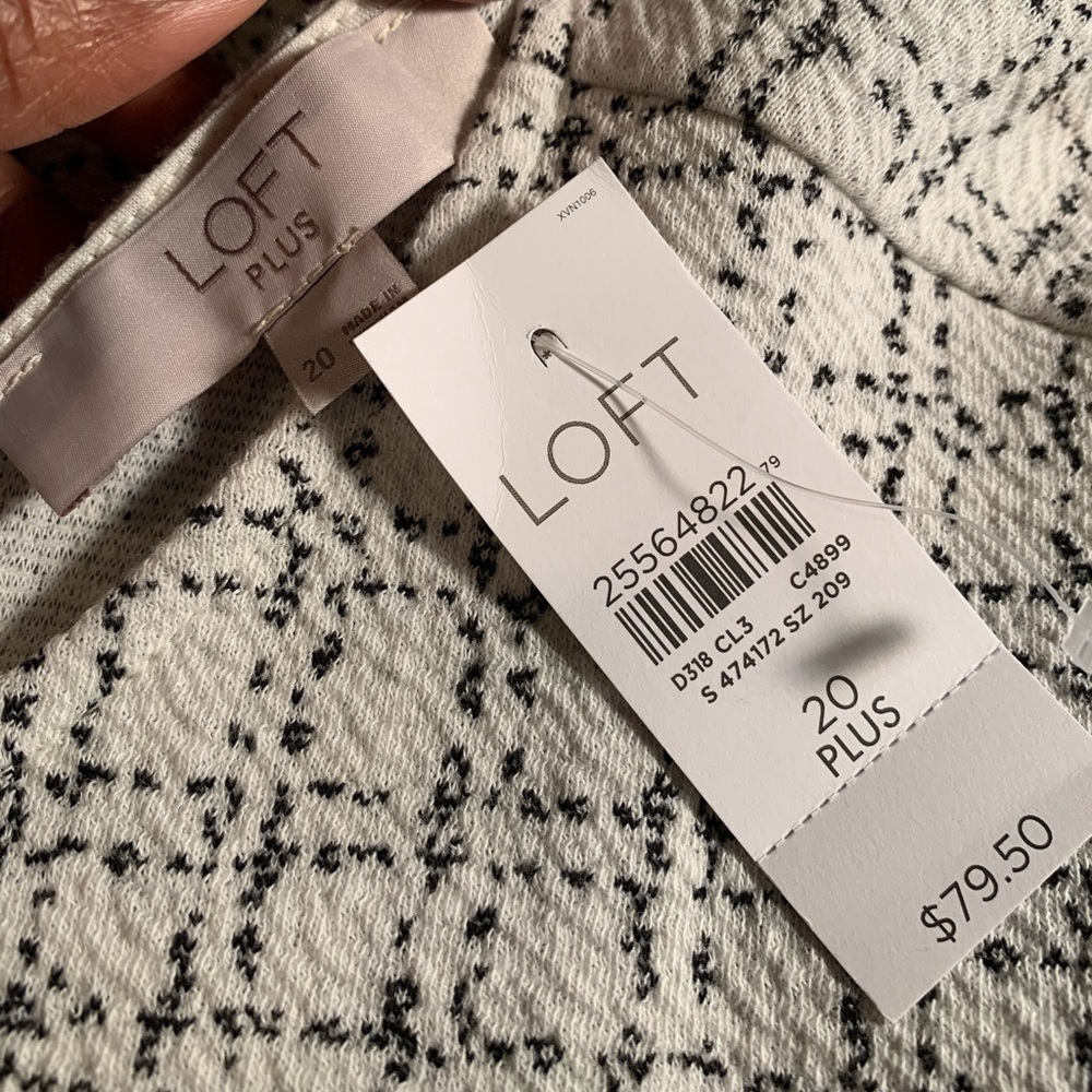 LOFT White and Gray Women's Dress - Picture 3 of 3